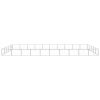 vidaXL Dog Kennel Silver 538.2 ftÂ² Steel